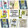 Country Flowers Card Inspiration &amp; Coloring With Stampin' Blends